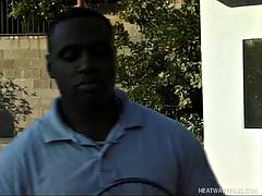 Анальный секс, Красотки, Большой член, Черные, Минет, Черненькие, Секс без цензуры, Сиськи