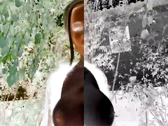 Mylf Selects: Compilation of Perfect Assed MILFs sitting on faces and taking cumshots in POV