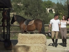 Anal, Morena, Corridas, Corridas faciales, Al aire libre