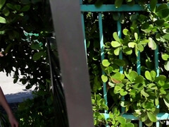 Arsch, Grosser arsch, Grosser schwanz, Hardcore, Pov, Öffentlich, Muschi, Jungendliche (18+)