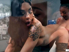 Gros seins, Gorge profonde, Noir ébène, Secrétaire, Transsexuelle, Tatouage