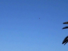 Amateur, Mamada, Morena, Estilo perrito, Hd, Al aire libre, Pov, Adolescente