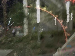 Amateur, Vestido, Pequeña, Pezones inflados, Coño, Afeitado, Fumando, Bajo la falda