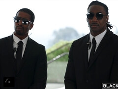 Жопа, Минет, Собачьи, Ласковые ручки, Межрасовый секс, Киски, Наездница, Влажная