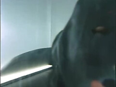 Grote lul, Pijpbeurt, Sperma shot, Hd, Hongaars, Naakt