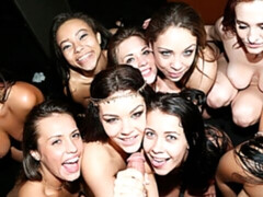 Kont, Pijpbeurt, Genootschap, Hondjeshouding, Likken, Orgie, Feest, Kut duiken