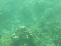 Любители, Блондинки, Эксгибиционист, Волосатые, На природе, На публике, Киски, Влажная