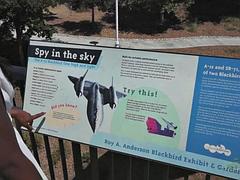 Любители, Красотки, Черные, Черненькие, Ноги, Подружка, От первого лица, На публике