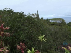 Enthousiasteling, Strand, Vriendin, Zoenen, Orgasme, Openbaar, Kut duiken, Nat