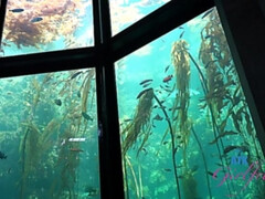 素人, デカ尻, フェラチオ, 中出し, 彼女, 小柄, 剃毛, オッパイの