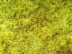 Tetas grandes, Abuelita, Masturbación, Madres para coger, Tetas naturales, Solo, Tetas, Juguetes