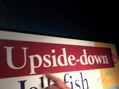 Vestido, Novia, Peludo, Orgasmo, Al aire libre, Coño, Tetas, Voyeur