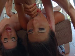 Hondjeshouding, Dominatie, Vuisten, Flashing, Buiten, Kut duiken, Geschoren, Rok