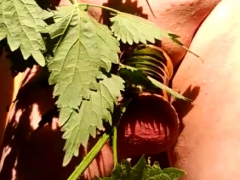 Amateur, Sadomasoquismo, Fetiche, Masturbación, Madres para coger, Al aire libre, Público, Voyeur