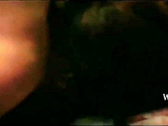 Bruinharig, Hd, Indisch