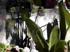 18 años, Culo grande, Mamada, Corridas, Hd, Interracial, Coño, Adolescente