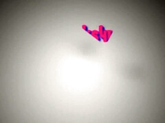 Grote kont, Grote mammen, Bruinharig, Rondborstig, Hardcore, Huisgemaakt, Tieten likken, Vrouw