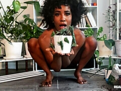 Arsch, Schwarz, Fingern, Klaffend, Handjob, Masturbation, Entkleiden, Spielzeuge