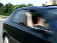 Belleza, Mamada, Clásico, Estilo perrito, Grupo, Orgasmo, Al aire libre, Fiesta