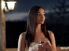 69 negenenzestig, Anaal, Kont naar mond, Lul, Hondjeshouding, Gapende, Handbeurt, Logement