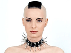 Anaal, Grote kont, Grote lul, Pijpbeurt, Hondjeshouding, Kwartet, Orgie, Tiener