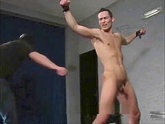 Papa, Homosexuelle, Fessée