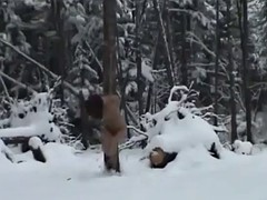ボンデージ, フェティッシュ