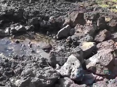 Enthousiasteling, Strand, Blond, Hd, Doordringend, Gezichtspunt, Mager, Tieten likken