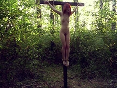 Sadomasochismus, Vollbusig, Süss, Schwanz, Behaart, Erniedrigung, Orgasmus, Im freien