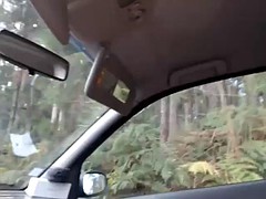 車, オナニー, アウトドア