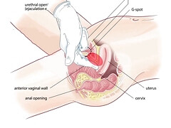 お尻, 巨乳な, カワイイ, チン, ハードコア, Hd, ロシア人, オッパイの