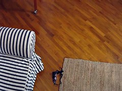 ポルノスター