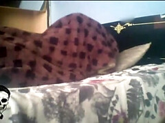 Любители, Анальный секс, Большие сиськи, Латиноамериканки, Милф, Киски, Чулки, Втроем