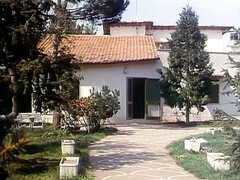 デカパイ, ブロンド, フェラチオ, 茶髪の, ハードコア, Hd, オマンコ, ヴィンテージ