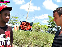 素人, 黒人, 黒人, ゲイ, ポルノスター, 公共, タトゥー