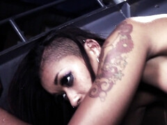 Sucer une bite, En levrette, Faciale, Hd, Seins naturels