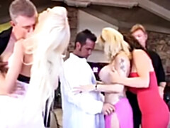 Leie, Blasen, Klassisch, Süss, Schwanz, Orgasmus, Muschi, Titten