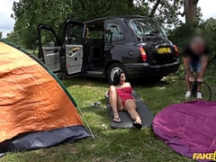 69 negenenzestig, Auto, Lul, Hondjeshouding, Europees, Buiten, Gezichtspunt, Billekoek