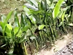 Enthousiasteling, Kont, Zwart, Gek, Masturbatie, Buiten, Kut duiken, Tieten likken