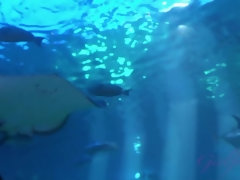 素人, ブロンド, ドレス, 指いじり, 彼女, オーガズム, アウトドア, オッパイの