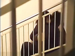 Asiático, Pareja, Japonés, Público