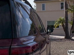 Anaal, Lieveling, Grote mammen, Pijpbeurt, Hardcore