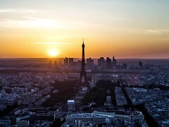 Большая жопа, Большие сиськи, Сборник, Собачьи, Двойное проникновение, Крошечные, Порнозвезда, Молоденькие