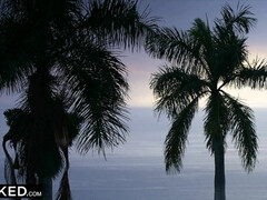 Anal, Cul à la bouche, Sucer une bite, Queue, Interracial, Léchez, Chatte, Nénés