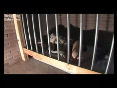 Business Babe Behind Bars