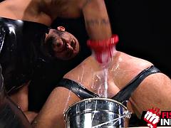 Anal, Lamer culo, Verga grande, Mamada, Consolador, Penetracion con puños, Gay, Masturbación