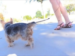 En gros plan de très près, Extrême, Talons, Masturbation, Orgasme, Public, Jouets, Sous la jupe