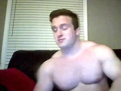 Europäisch, Muskel, Solo