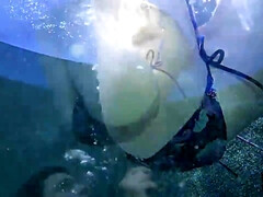 Taylor Whyte & Taylor In A Tube get wild with a massive cock