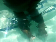 Kont, Grote kont, Classisch, Schattig, Diep in de keel, Zwart, Hd, Natuurlijk